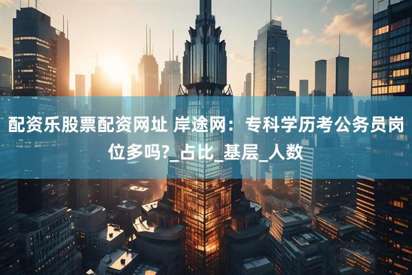 配资乐股票配资网址 岸途网：专科学历考公务员岗位多吗?_占比_基层_人数