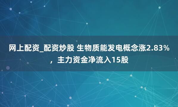 网上配资_配资炒股 生物质能发电概念涨2.83%，主力资金净流入15股