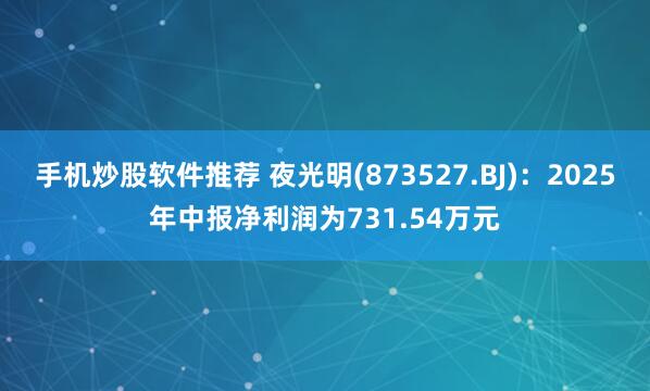 手机炒股软件推荐 夜光明(873527.BJ)：2025年中报净利润为731.54万元