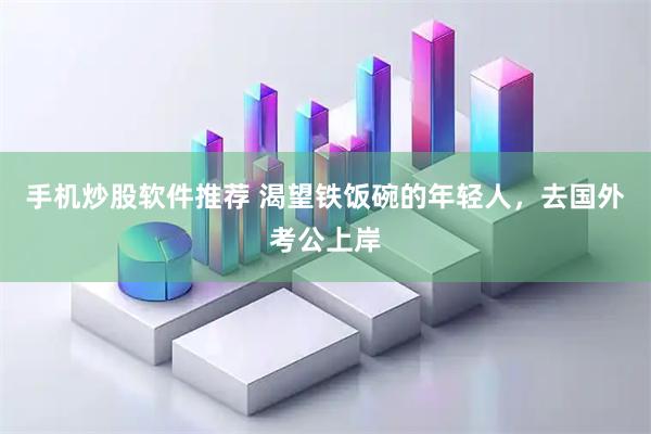 手机炒股软件推荐 渴望铁饭碗的年轻人，去国外考公上岸